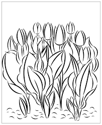 Coloring pages flowers spring free see more images here : Nicole S Free Coloring Pages Spring Flowers Coloring Page