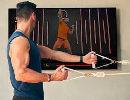 Image result for Shoulder Strength Exercises