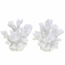 Koralle ersatzteile bieten querrohre bzw. Koralle Gips Weiss H11cm 2st 616628 12 Preiswert Online Kaufen