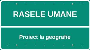 Rasa alba(europoida), rasa mongoloida si rasa negroida + caracteristici si imagini caracteristice. Rasele Umane By Gratiela Elena