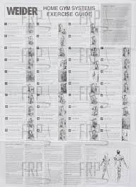 Workout Equipment Gym Workout Chart Workout Chart Gym Workouts Machines