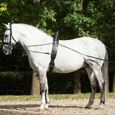 The gymnastic value can be. Masssattlerei Hennig Lunging Accessories