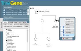 Apply professionally designed themes to give your family tree a custom look. Pedigree Chart Drawing Tool Clinical Genetics Family History Software