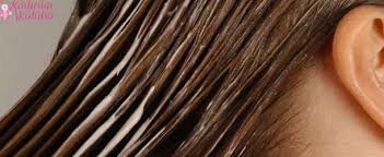 Kadinlar Kulubu Evde Sac Bakimi Hakkinda Kk Portal