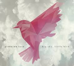 Big sky, little bird