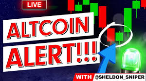 Never miss a crypto trade! An Altcoin Alert That Can T Be Ignored Youtube