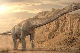 • theropoda • • • coelophysoidea • • neotheropoda. Ù…Ø§ Ù‡Ùˆ Ø§Ù„Ø¹ØµØ± Ø§Ù„Ø·Ø¨Ø§Ø´ÙŠØ±ÙŠ ÙˆÙ‡Ù„ Ø¹Ø§Ø´ Ø§Ù„Ø§Ù†Ø³Ø§Ù† ÙÙŠ Ù‡Ø°Ø§ Ø§Ù„Ø¹ØµØ± Ù…ÙˆØ³ÙˆØ¹Ø©