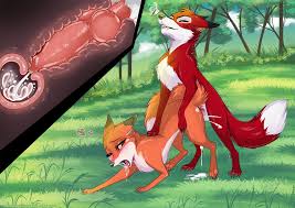 yiff RukiFox  funny cocks & best free porn: r34, futanari, shemale, hentai,  femdom and fandom porn