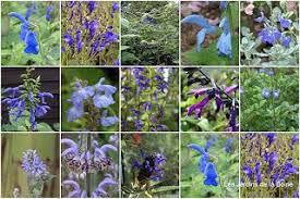 Les Jardins Botaniques De La Boirie Jardin Botanique Botanique Jardins