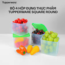 Bộ hộp ngăn mát Tupperware bảo quản thực phẩm Medium Square Round 840ml 4 Hộp chính hãng