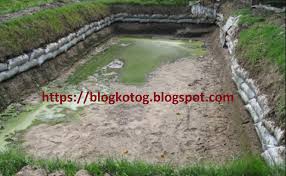 Persiapan Kolam Budidaya Ikan Nila Blog Go Blog