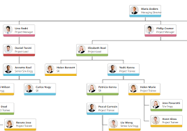 org chart software software recommendations stack exchange