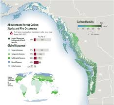 Mapping forest-based natural climate solutions | Communications Earth &  Environment