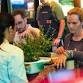 Bonsai Workshop at Denver Beer Co. Olde Town Arvada event image