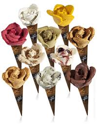 Artisanal Gelato Maker Gelato Granitas Macaroons Flower Ice Gelato Ice Cream