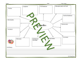 Pin On Organite Products
