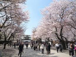 Check spelling or type a new query. é–å›½ç¥žç¤¾ãŠèŠ±è¦‹2019 é–‹èŠ±è¦‹é ƒã¯ ã•ãã‚‰ãƒ•ã‚§ã‚¹ãƒ†ã‚£ãƒãƒ«ã¯ ããµãã‚‰ãƒ–ãƒ­ã‚°