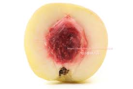 白麗（はくれい）＜桃：旬の果物百科