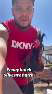 Spangled Penny Hatch