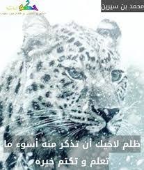 اقوال ابن سيرين google search animals dios panther