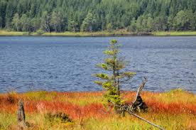 Bedřichov, bedřichov (okres jablonec nad nisou) (bedřichov). Prehrada Cerna Nisa Bedrichov