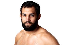 Johny Hendricks (Middleweight) MMA Profile