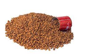 Tiger Nut (Tomatoe Cup)