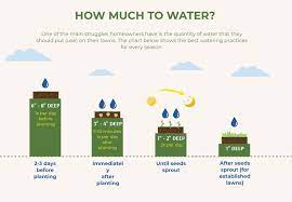 6 to 8 inches is a healthy amount of water for the soil several days before planting. Watering Your Lawn How To Water Established Grasses New Seeds More Green Turf Care