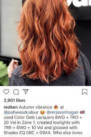 Pin By Maya On Copper Redken Hair Color Matrix Hair Color Hair Color Formulas
