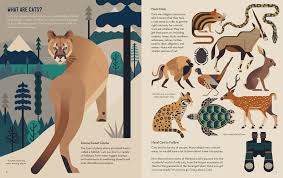 It is the only domesticated species in the family felidae and is often referred to as the domestic cat to distinguish it from the. Crazy About Cats Owen Davey Illustration