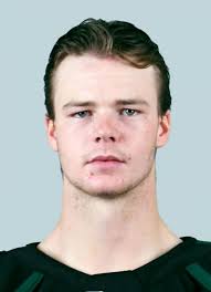 Wenatchee Wild (WHL) Player Register at hockeydb.com