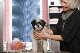 If you plan on making it in this business, then you're going to need to be. How Much Do Dog Groomers Make A Year Guide To Salary