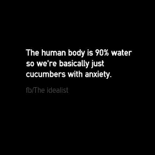 30 funny love quotes funny love quotes senior quotes funny senior quotes funny inspirational quotes