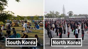 Due to the poor diet of north koreans, people there tend to be smaller than south koreans. North Korea Bored Panda