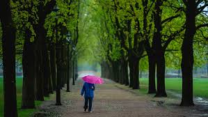 Flera gator och viadukter har drabbats av översvämningar i gävle under natten och morgonen. Regn Vantas I Hela Sverige Msb Valdigt Valkommet Dn Se