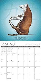 Cow Yoga 2019 Wall Calendar Calendar Wall Calendar July 15 2018 Wall Cow Yoga Calendar Wall Calendar Yoga Calendar