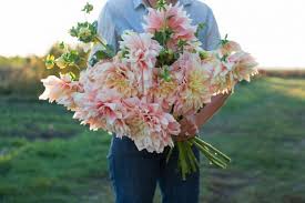Her parents read and read and read! Floret Farm S A Year In Flowers By Erin Benzakein Chris Benzakein Beautiful Heirloom Home
