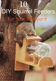 12 Diy Squirrel Feeder Ideas To Have Some Fun Watching In Your Backyard A Diy Squirrel Feeder Is An Inex Squirrel Feeder Diy Squirrel Feeder Squirrel Feeders