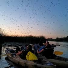 Maybe you would like to learn more about one of these? Nimisila Reservoir Metro Park Summit Metro Parks