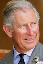 Book review: Rebel Prince: The Power, Passion and Defiance of Prince  Charles by Tom Bower