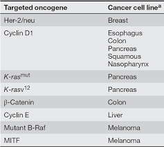 Image result for Oncogene