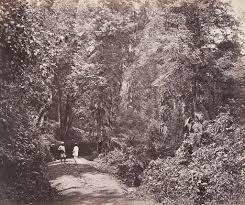 India 1850s | PICRYL - Public Domain Media Search Engine collections