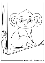 Download the book as a pdf in english pdf icon 7 mb, 18 pages, 508 or spanish pdf icon 7 mb, 18 pages, print only Koalas Coloring Pages Updated 2021