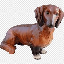 The organization is run by susan b. Curlycoated Retriever Png Images Pngwing