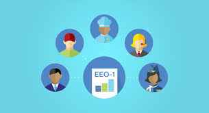 Understanding Eeo Job Categories Employers Definite Guide