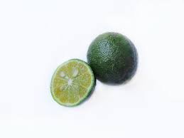 Image result for Nemum angolense