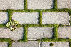 Pflastersteine Reinigen Schritt Fur Schritt Anleitung