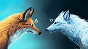 Dessin Renard Fox Loup Wolf Animaux Beast Fox Art Cute Animal Drawings Fox