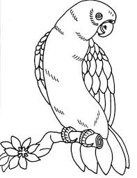 Pada dasarnya sketsa digunakan sebagai berikut ini penjelasan lengkap seputar gambar sketsa. Contoh Gambar Mewarnai Gambar Burung Nuri Kataucap