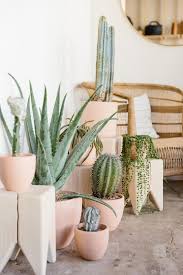 See more of cactus green garden on facebook. Inside Two Of Culver City S Newest Stores Domino Kaktus Blume Pflanzen Pflanzen Fur Zu Hause